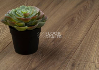 Kronopol Platinium Milo d3712 Орех Афина фото 2 | FLOORDEALER